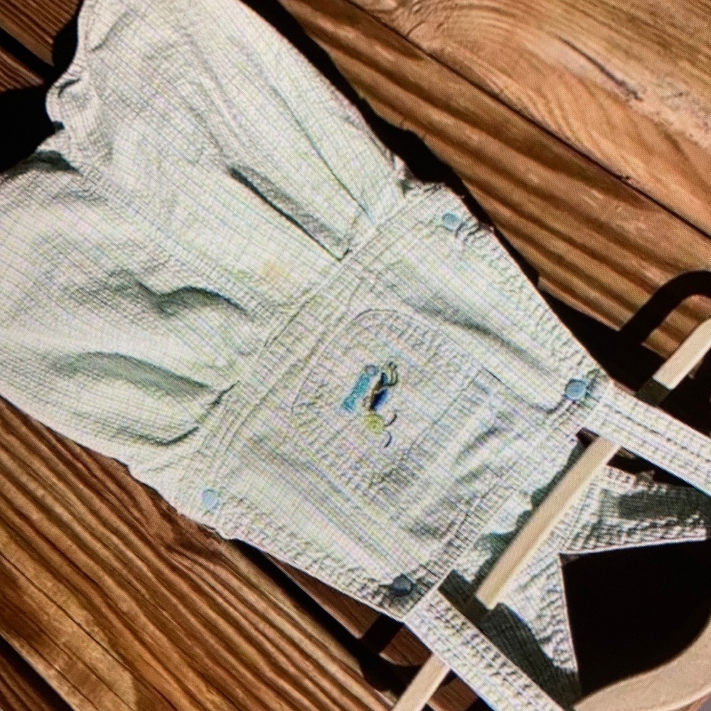 Good condition grasshopper plaid overalls